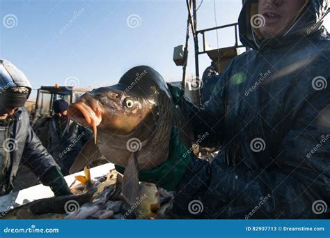 Fishing Industry Editorial Stock Photo Image Of Hunter