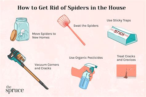 How To Get Rid Of Spiders In The House