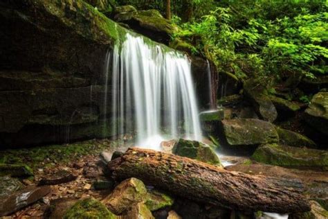 4 Smoky Mountain Waterfalls You Absolutely Need to See