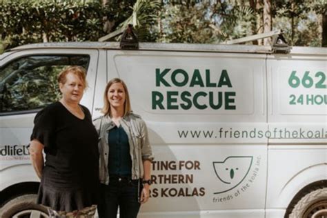 We Need To Save Koalas From Extinction Part I Friends Of The Koala