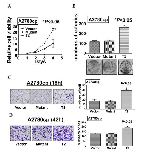 Mutation At Ser412 Of TAK1 Completely Abrogates Its Function In Ovarian