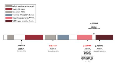 Schematic Representation Of Lrrk2 Protein Domains And Locations Of