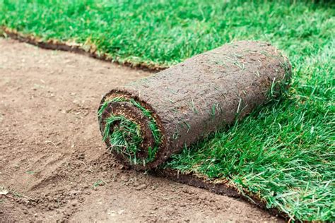 How To Lay Sod Over Your Existing Lawn Betterlandscaping