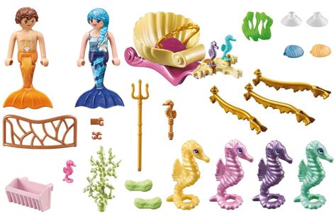 Playmobil Princess Magic Pas Cher Cal Che Avec Sir Nes Et