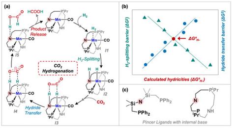 Catalysts Free Full Text Correlation Between Key Steps And