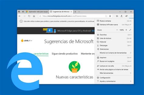 Cómo Borrar Cookies E Historial De Navegación En Edge