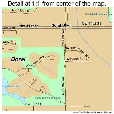 Doral Florida Street Map 1217935