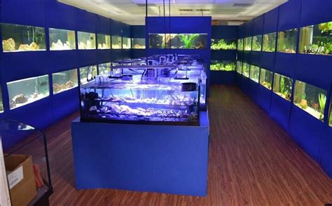 Upscale Aquatics 2024 All You Need To Know Before You Go With Photos