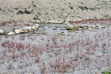 A New Landscape For The New Hydropower Plant Hagneck In Switzerland By