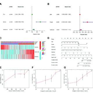 Independent Prognostic Analysis Of Risk Scores And Clinical Parameters