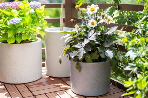 Beton Round Tall Planter Garden Pots Apta Lightweight