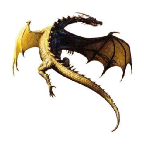 Download High Quality Dragon Clipart Realistic Transparent Png Images