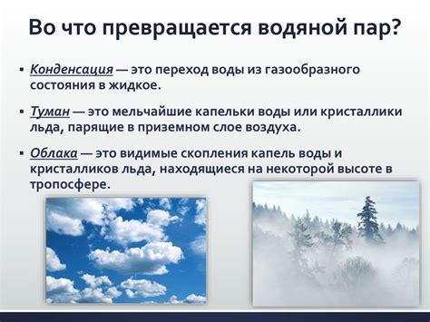 Влага в атмосфере - презентация онлайн
