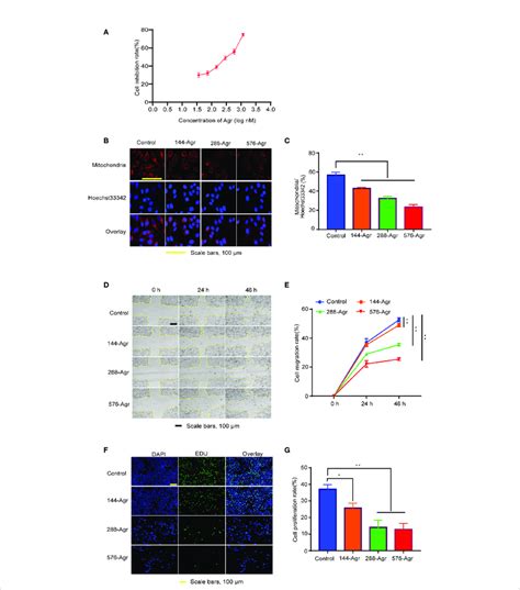 Agr Inhibits Hct Cell Proliferation And Invasion By Modulating