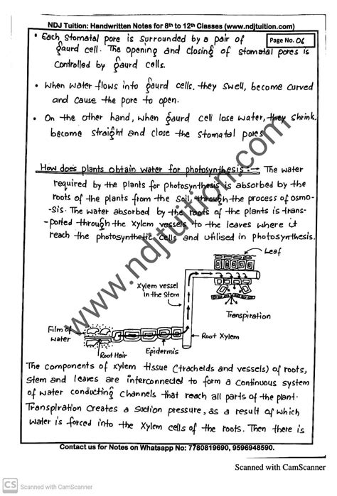 Life Processes Handwritten Notes For Class 10th Physics Notes Biology