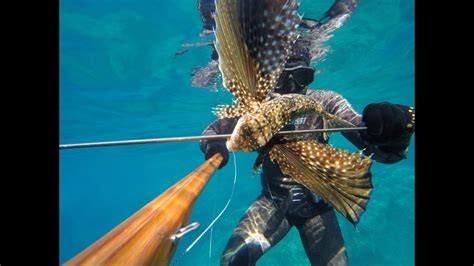 Pesca Sub A Caccia Di Pesci Strani Nel Sottocosta Mostella Polpo