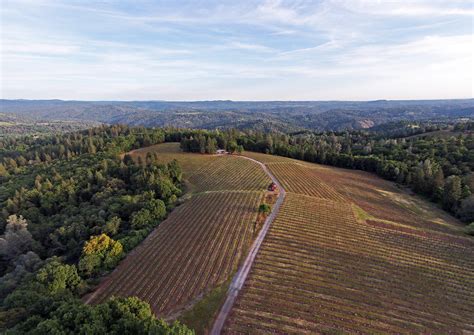 Premium Sierra Foothills Estate Vineyard And Winery Vintroux