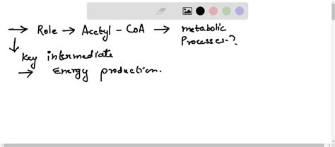 SOLVED: Describe the central role of acetyl CoA in metabolism of ...