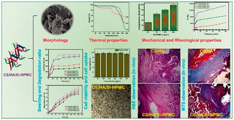 Frontiers Stimuli Responsive Injectable Chitosan Based Hydrogels For