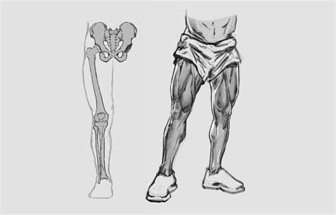 How To Draw Legs The Easy Step By Step Guide With Simplified Anatomy