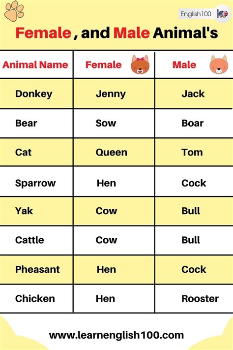 Top 192 Animals Photos And Names