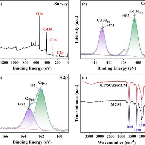 A Overall XPS Spectra Of 0 175CdS MCM B Cd 3d XPS Spectra C S 2p XPS