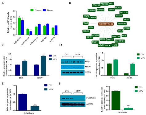 Ijms Free Full Text Plasma Exosomal Microrna Profile Reveals Mirna