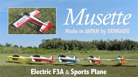 Electric F3a And Sports Plane Musette Made In Japan Arfbalsafilm