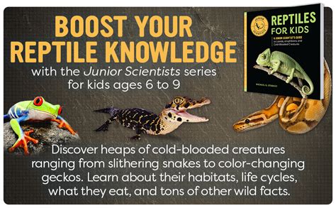 Reptiles For Kids A Junior Scientists Guide To Lizards Amphibians