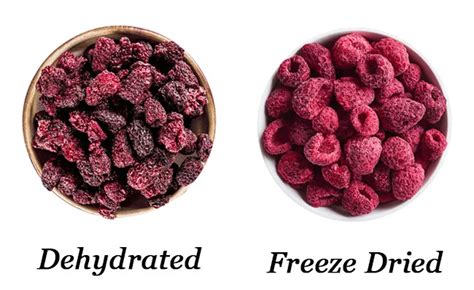 Freeze Dried Fruit Vs Dehydrated Fruit: What’s The Difference ...