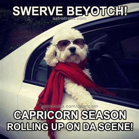 CAPRICORN SEASON MEMES - Top 16+ Memes for Capricorn Season