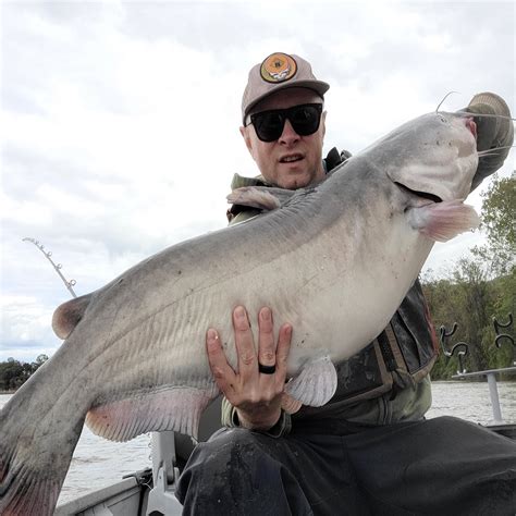 The Invasive Blue Catfish Of The Chesapeake Bay Reel Chesapeake