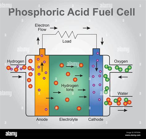 Phosphoric Acid fuel cell structure. Education technology info graphic ...