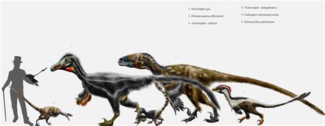 Dromaeosaur parade by Durbed on DeviantArt