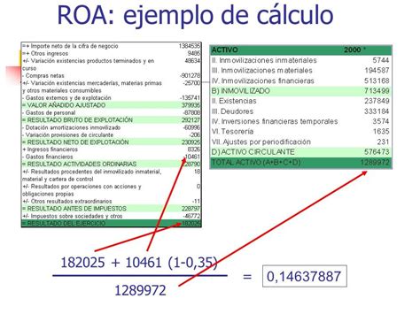 Qu Es El Roa