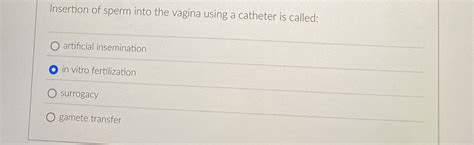 Insertion Of Sperm Into The Vagina Using A Catheter Chegg
