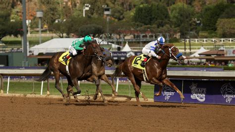 Santa Anita racetrack: Race suspended after 21 horses die - Sports Illustrated