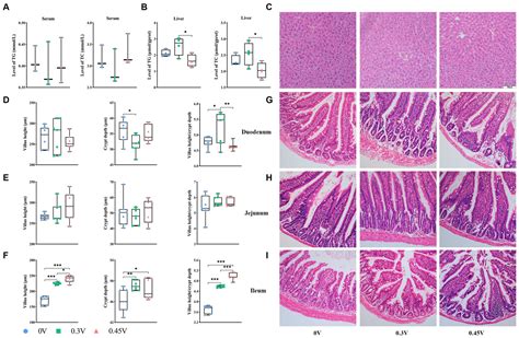 Frontiers Valine Induces Inflammation And Enhanced Adipogenesis In