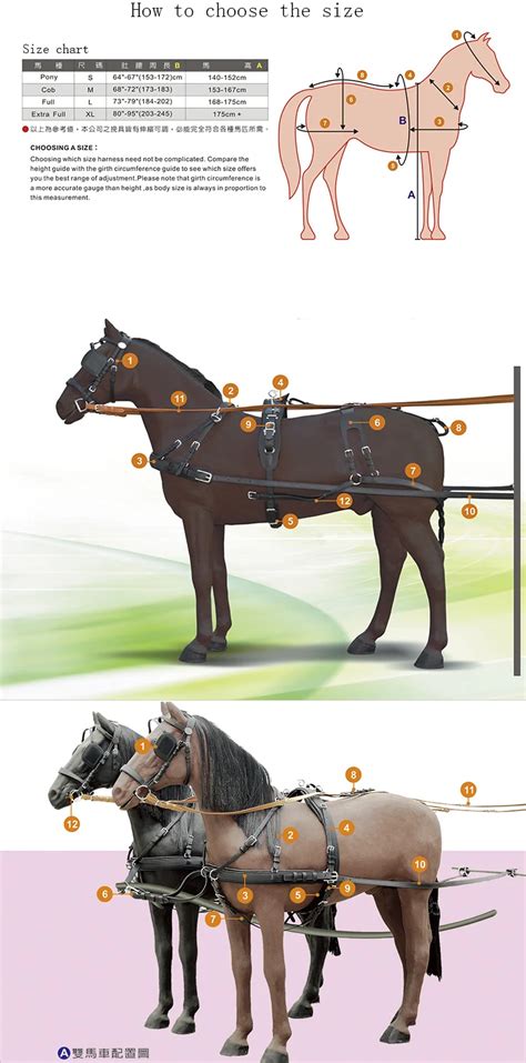 Horse Carriage Driving Deluxe Pairs Harness - Buy Horse Harness,Pairs Harness,Driving Harness ...