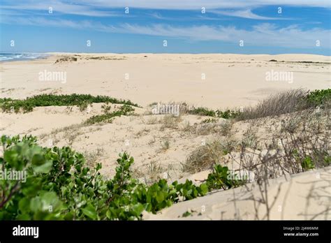 Sand Dunes Anna Bay, Australia Stock Photo - Alamy