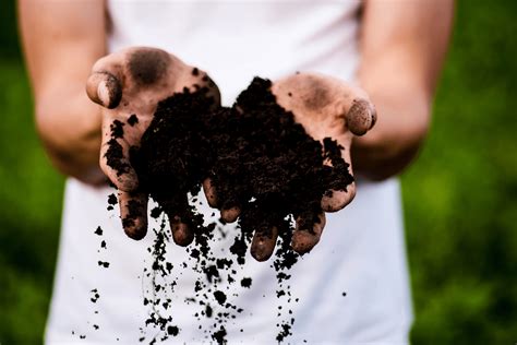 Is Compost Soil Compost Authority
