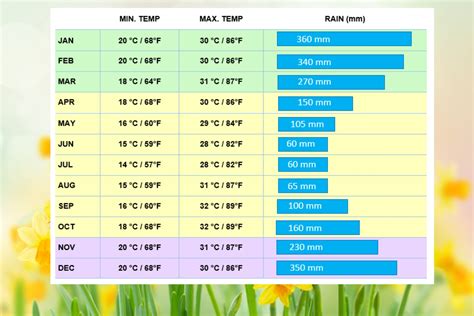 When Is The Best Time To Visit The Amazon Rainforest