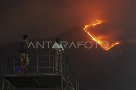 Gunung Merbabu Ditutup Untuk Pendakian Akibat Kebakaran Antara Foto