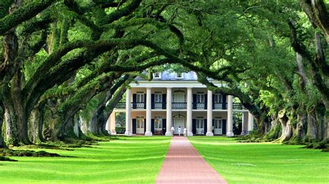 Nature Plantation Louisiana - Free photo on Pixabay