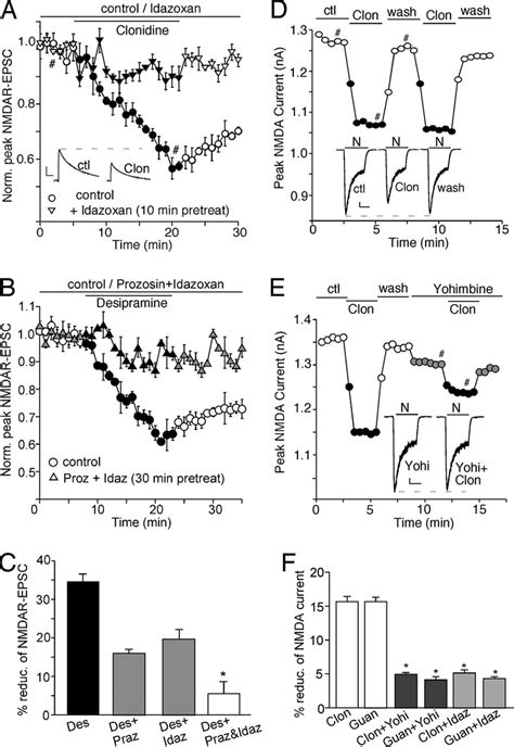 Activation Of Ars Reduces The Amplitude Of Nmdar Epsc And Whole Cell