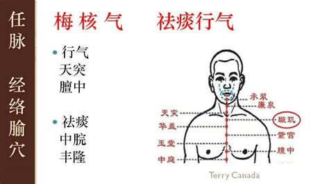 226 梅核气 天突穴 经络腧穴学 孟向文 天津中医药大学 Youtube