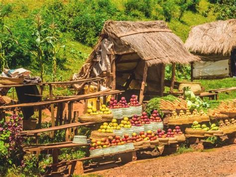 Madagaskar Erlebnisreise Mit Oder Ohne Besuch Tsingy Berge Meer