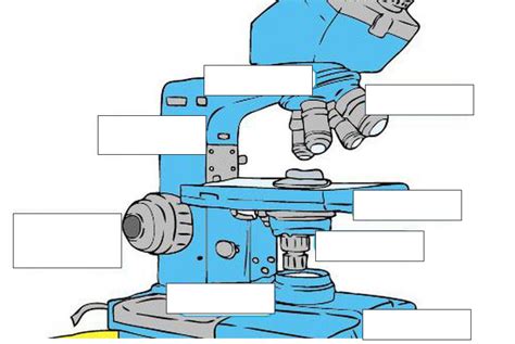 Esquema De Las Partes Del Microscopio