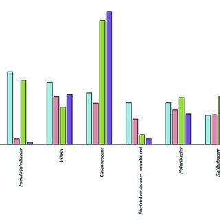 Relative Abundance Of The Most Abundant OTUs Colwellia OTUs Excluded