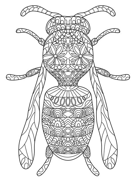 Avispa Para Colorear Vector Para Adultos Vector Premium